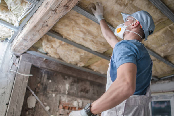 Best Insulation Installation Services in St Leon, IN